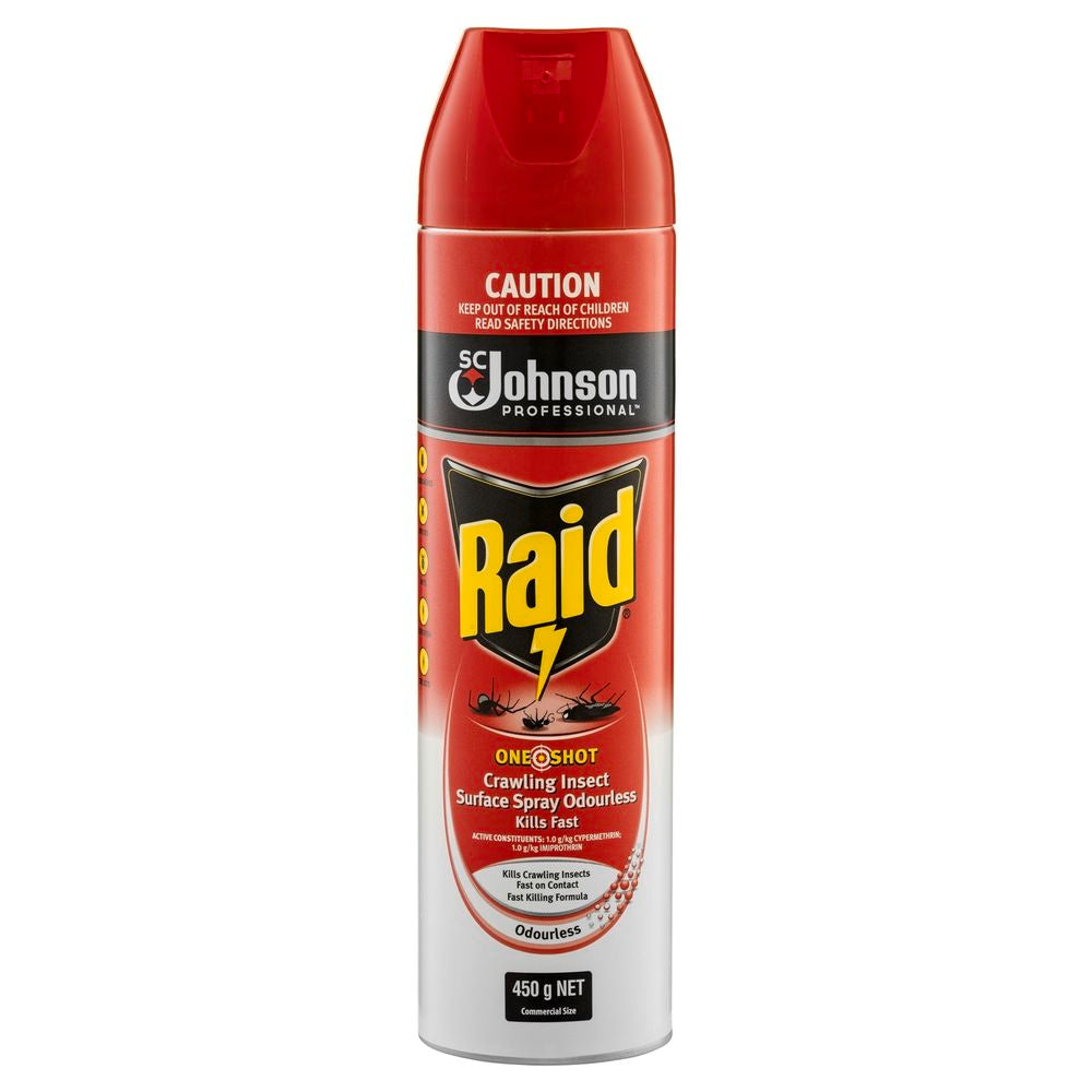 Raid Flying Insect Control | 450G