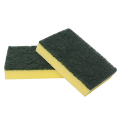 Sabco Sponge Scourer | 10/PKT