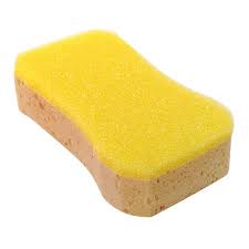 Sabco Sponge