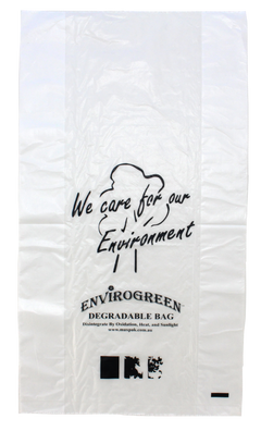 Produce Perforated Roll | 6/CTN