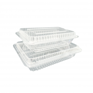 Clear Plastic Sushi Hinged Lid Container | 2000/CTN