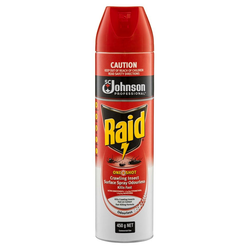 Raid Flying Insect Control | 450G