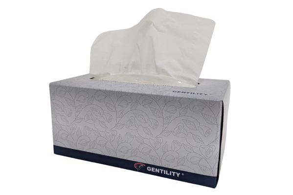 Premium Facial Tissues 2 ply 200's | 32/CTN