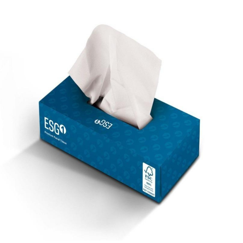 ESG Facial Tissue 2 Ply | 48/CTN